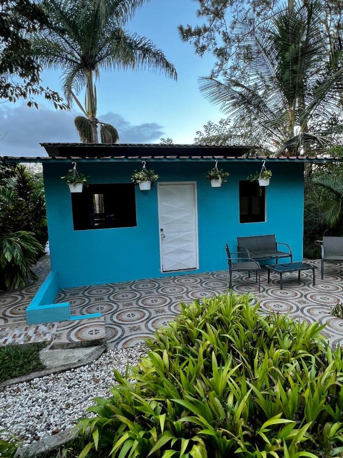 Haus Unter Palmen Villa Jarabacoa Dış mekan fotoğraf